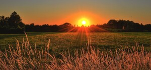 День летнего солнцестояния 2020: когда наступит, приметы и ритуалы