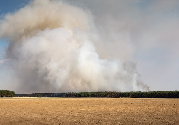 В Днепропетровской области объявили пожарную опасность / фото: pixabay