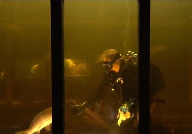 В Днепре водолазы чистили аквариум / фото: Суспільне Дніпро