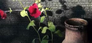 Еще пахнет молоком: в центре случайно нашли кувшин времен Екатеринослава