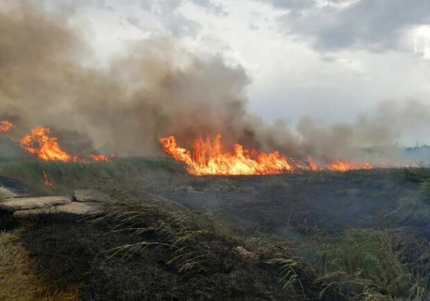 За последние сутки в Днепропетровской области сгорело 30 гектаров экосистем / фото: ГСЧС