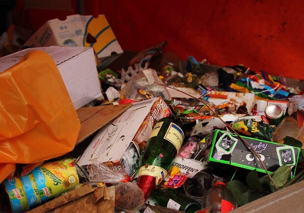 Коммунальщики освобождали от мусора квартиру на ж/м Покровский / фото: pixabay