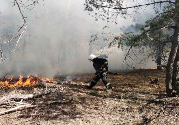 За стуки спасатели более 50 раз выезжали тушить пожары в экосистемах / фото: ГСЧС