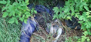 Одежда лежала рядом: под Харьковом обнаружили труп мужчины