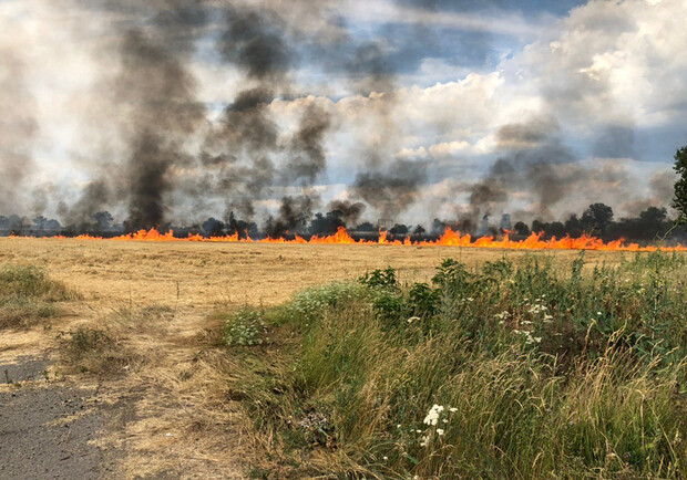 В Днепропетровской области высокий уровень пожароопасности / фото: ГСЧС