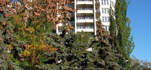 На Днепропетровщине чиновники обделили науку, пустив 1,5 миллиона на озеленение района