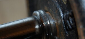 Харьковские пауэрлифтеры стали лучшими в Украине