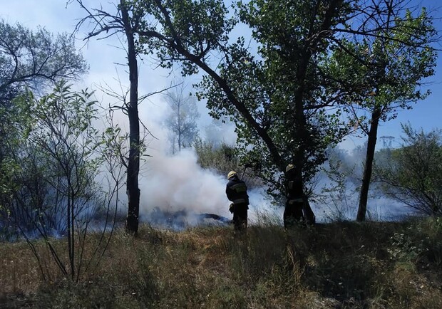 На выходных в Днепре горел Фрунзенский лес - фото fb Виктории Штефан