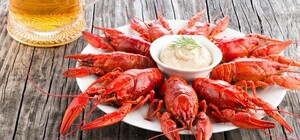 Рыбакам на заметку: ловля раков в Днепре теперь запрещена