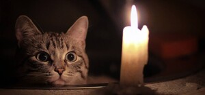 Прогуляйся прохладным вечером: где в Днепре отключат свет (адреса)