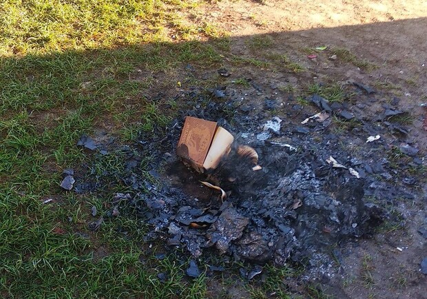 На левом берегу сожгли книги из уличной библиотеки - фото Сергей Петровский, fb Райончик