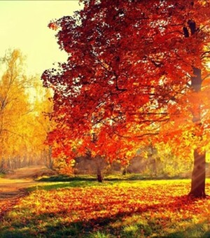 Лучшие места для селфи осенью в Полтаве: ТОП-5 локаций