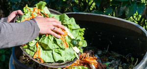 Інтерактивна мапа: де у Львові можна викинути органічні відходи