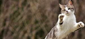 Полетаем: днепрян предупреждают об ухудшении погоды