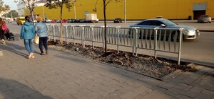 Дорогу не перебежишь: на Курчатова поставили заборы