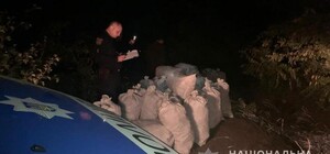 Под Одессой нашли гору выброшенного кодеина: отрыто уголовное дело