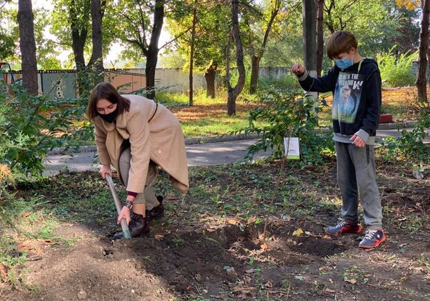 Вже 260 дерев висадили в місті на території підпорядкованих закладів департаменту соціальної політики в рамках декадника #Дніпро_квітучий - фото