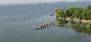 Помогите опознать: на берегу Днестровского лимана нашли мертвого мужчину