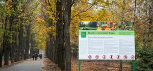 Дорожки, скамейки, спортплощадка: в Харькове завершили первый этап реконструкции 