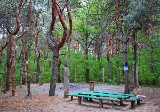Фрунзенскому лесу присвоили новый статус - фото: shukach.com