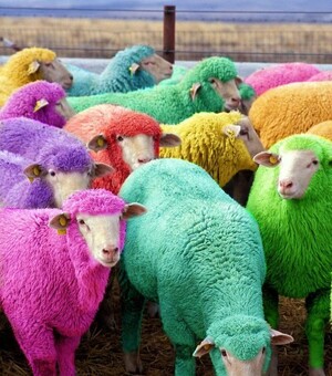 Накрутка цен, уловки и заниженные скидки: как в киевских магазинах прошла Черная пятница