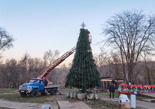 В Днепре установили две елки в парке / фото: Светлана Юрченко