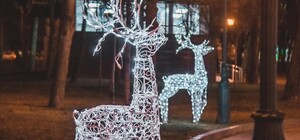 Новогодние олени: в саду Шевченко установили новую инсталляцию