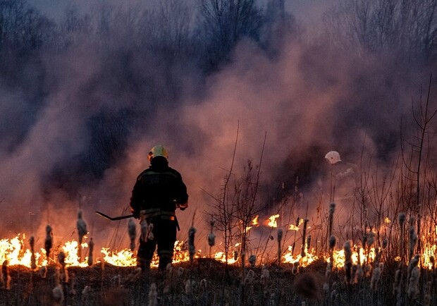 Под Днепром произошло несколько пожаров / фото: pln24