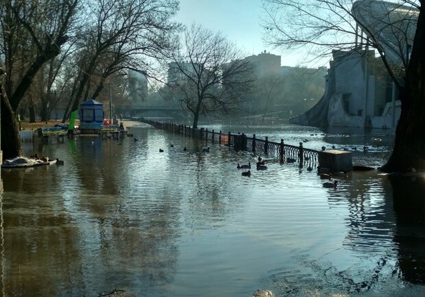 Потоп в парке Глобы в Днепре / фото: tg Канал Артема Костюка