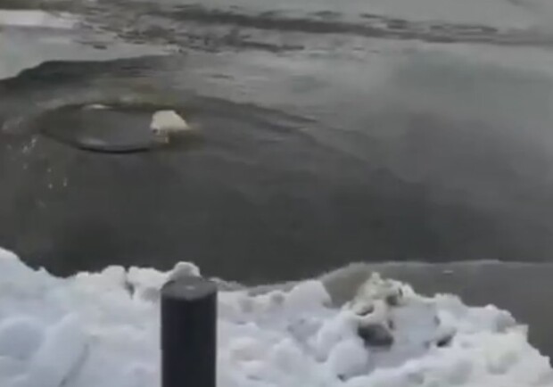 В центре Днепра из люка бурным потоком хлыщет вода - фото: ХД