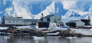 Поздравили с юбилеем: новый дудл посвящен украинским полярникам