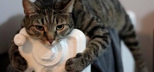 Труханов отправился в Киев: повышение тарифов в Одессе пока отменили