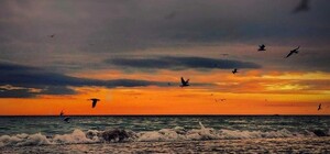 Холодные закаты и рассветы: посмотри, как прекрасна Одесса