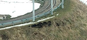 На трамвайній зупинці у Львові виникло провалля: фото