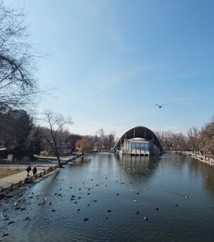 Мертвые утки, ямы и гнилые деревья: почему страшно гулять в парке Глобы