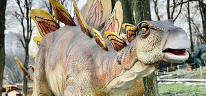 Дети будут в восторге: в Днепре открывается обновленный Динопарк