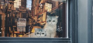 Будьте готовы: при каком условии в Киеве продлят локдаун после 16 апреля