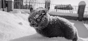 В Украину возвращаются мороз и снег: какая погода будет в Одессе