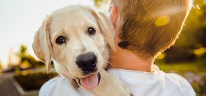 Для собак и детей: летом на 12-м квартале появятся новые площадки