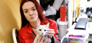 Пришлось пробить стену: на Оболони спасли кошку, провалившуюся в шахту