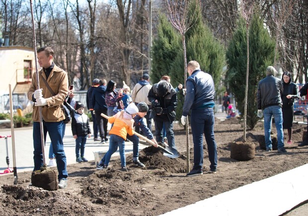 В Днепре высадили аллею сакур - фото: dniprorada.gov.ua
