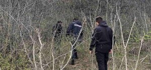 Была в розыске: под Одессой нашли повешенной пациентку психиатрической больницы