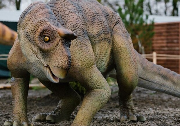 Парк динозавров - фото из афиши