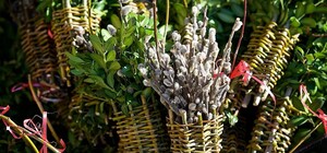 Бизнесмен: в Вербное воскресенье мужчина продавал обломанные ветки вербы