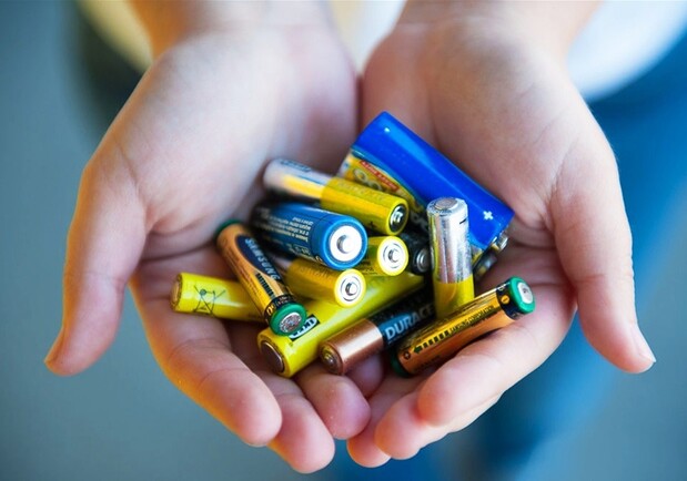 В ботсаду ДНУ можно сдать нерабочие батарейки - фото: ukrinform.ua