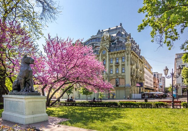Длинные выходные: куда пойти в Одессе на 