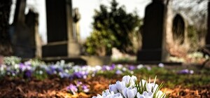 Поминальные дни 2021: в Запорожье могут запретить въезд на кладбища