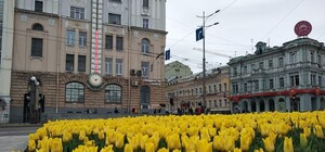 Зонтик пригодится: какой будет погода в Харькове на длинных выходных