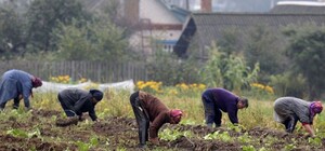 Смотрите расписание: в Запорожье возобновили дачную навигацию