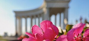 Холодные ночи возвращаются: какая погода будет в Одессе на следующей неделе